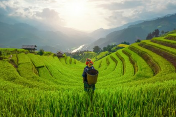 Best Time To Visit Vietnam By Region