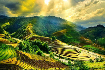 10 Must-Have Apps for Vietnam Travel Experience