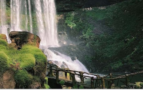 Dambri Waterfall – Where Mist Meets the Mountains in Bao Loc