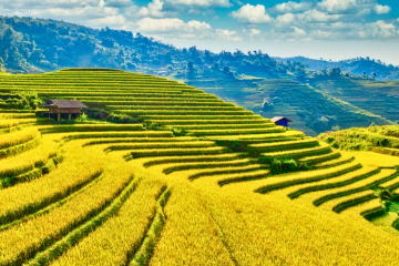 Northern Vietnam Travel Guide: Nature, Culture & Cuisine