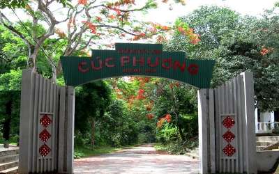 Tour Cuc Phuong National Park Day Tour 