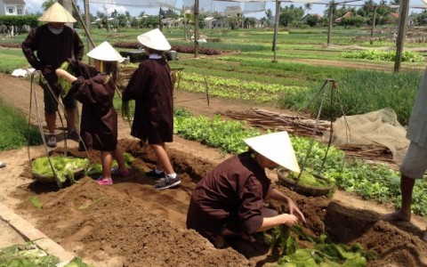 Farm Tour And Cooking Class At Song Phuong Village Full Day
