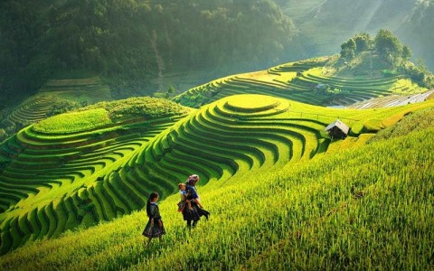 Tour  Northern Vietnam 6 days