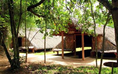 Ho Chi Minh City & Cu Chi Tunnel Full Day Tour
