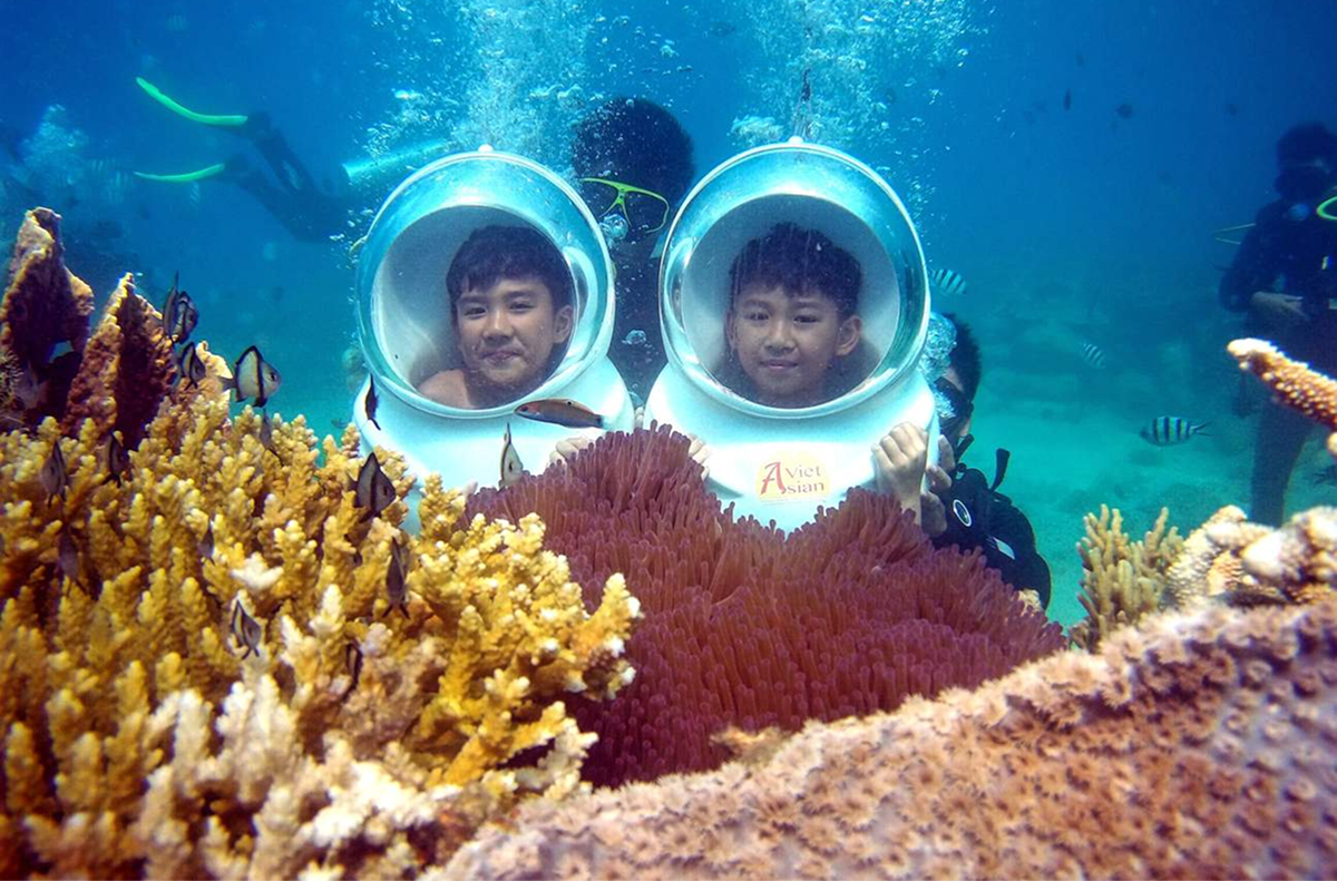 Best Time to Experience the Seafloor and Watching Coral in Phu Quoc