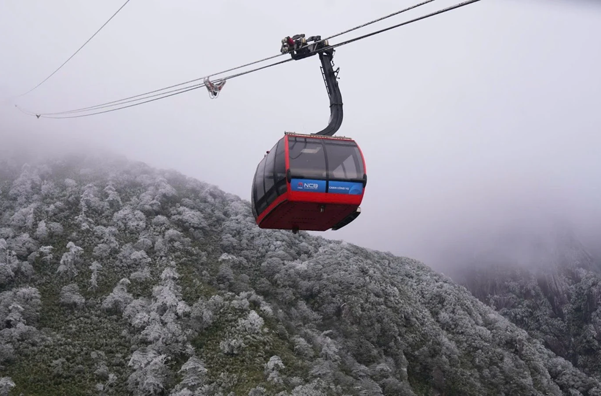 Hunt for White Snow and Conquer Fansipan in Sapa