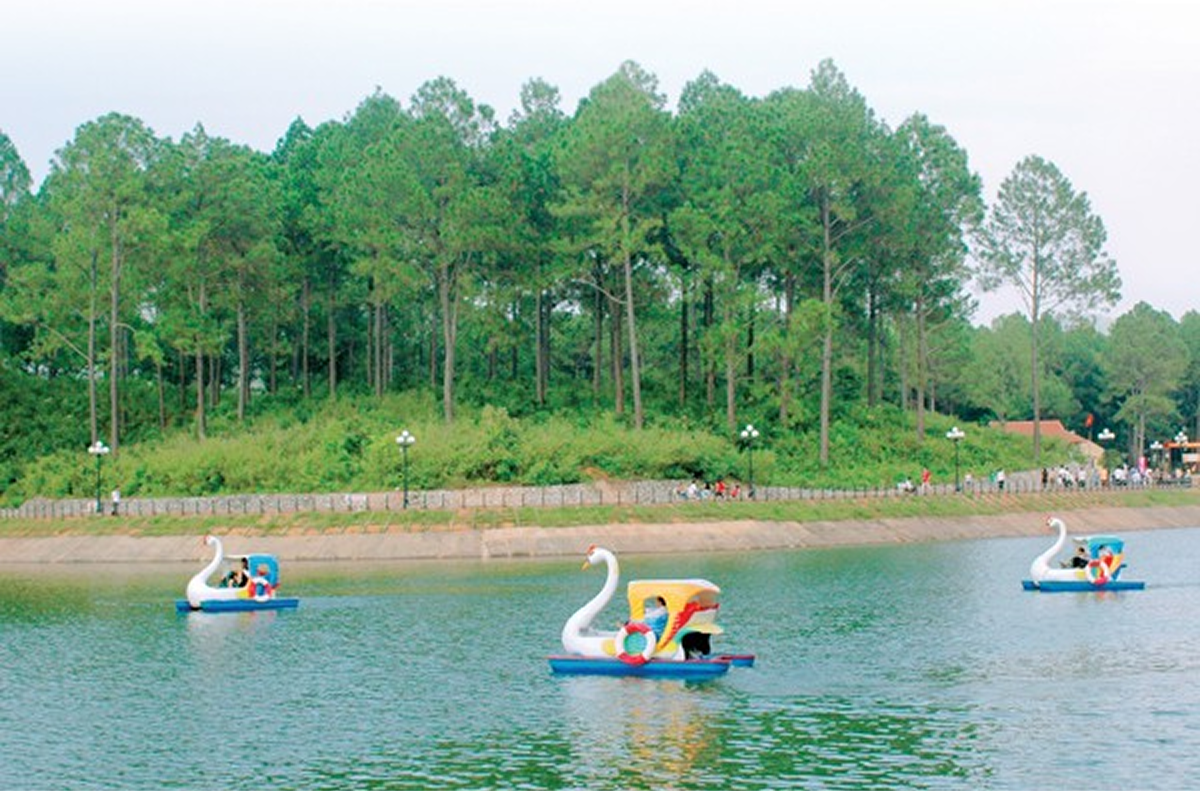 Pedal Boating on the Lake