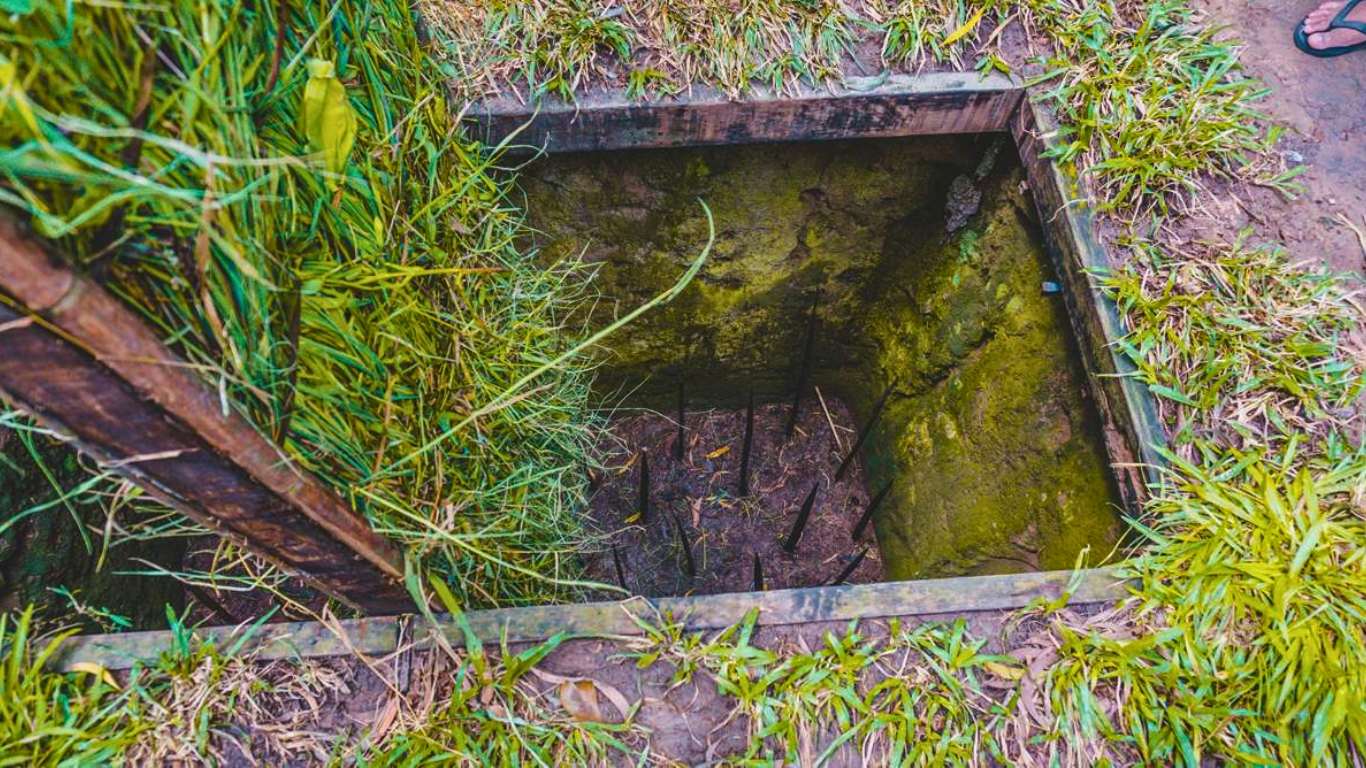 Guide demonstrating bamboo spike traps used during wartime