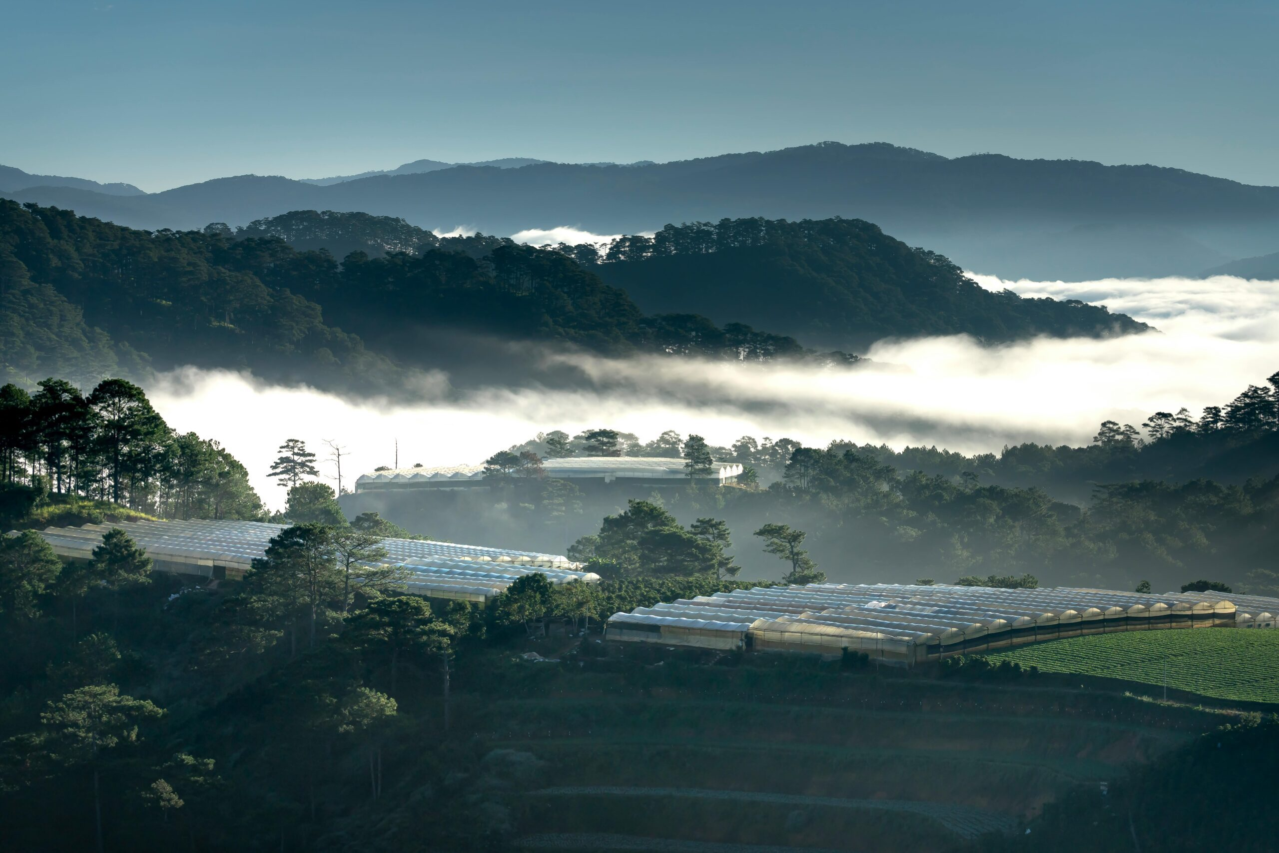 Traveler enjoying fresh mountain air and healthy activities