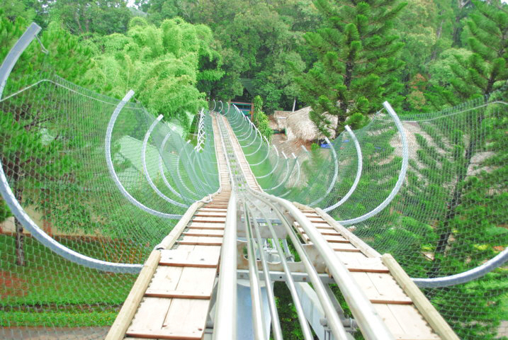 Visitors enjoying the alpine coaster that winds through forest near Dambri Waterfall.