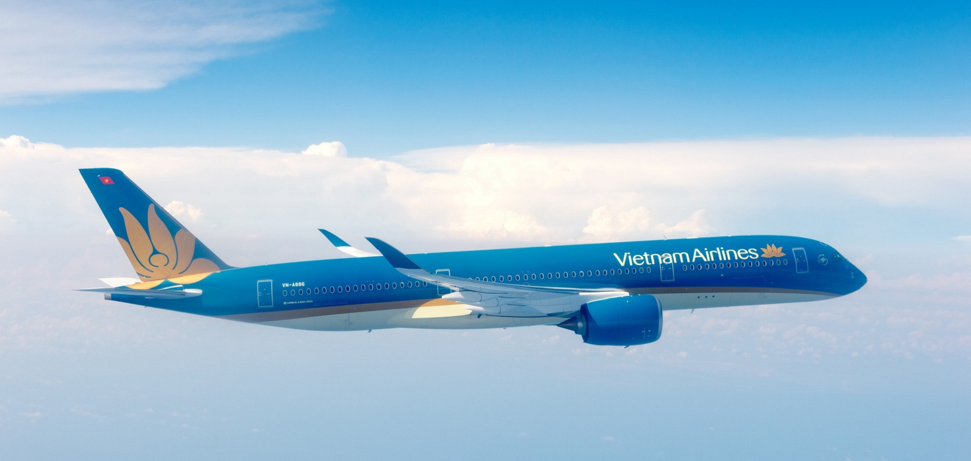 Major carriers cover all key city pairs with multiple daily frequencies