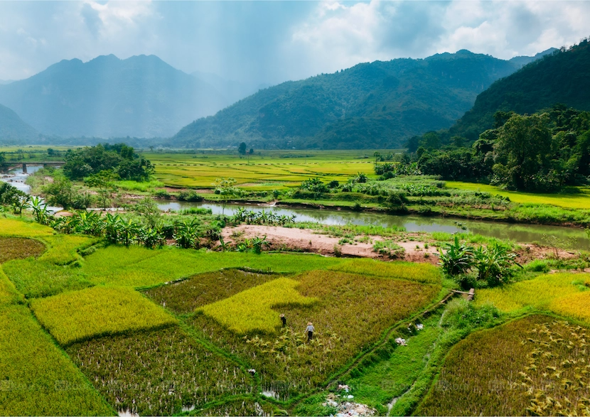 Mai Chau Valley offers peaceful rice field landscapes and ethnic Thai culture
