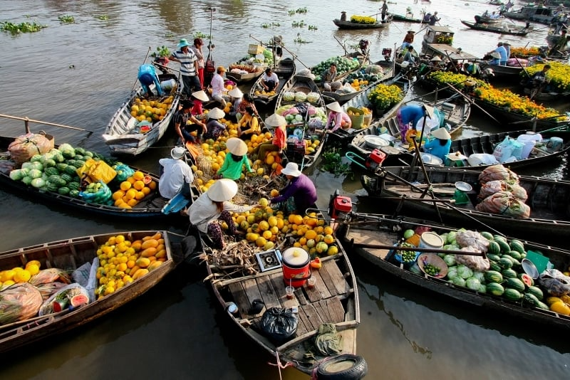 The Mekong Delta's floating markets showcase southern Vietnam's unique river-based culture and agricultural heritage