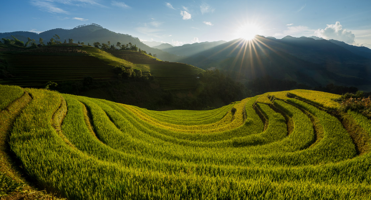 Mu Cang Chai's terraced mountains offer Vietnam's most dramatic agricultural landscapes