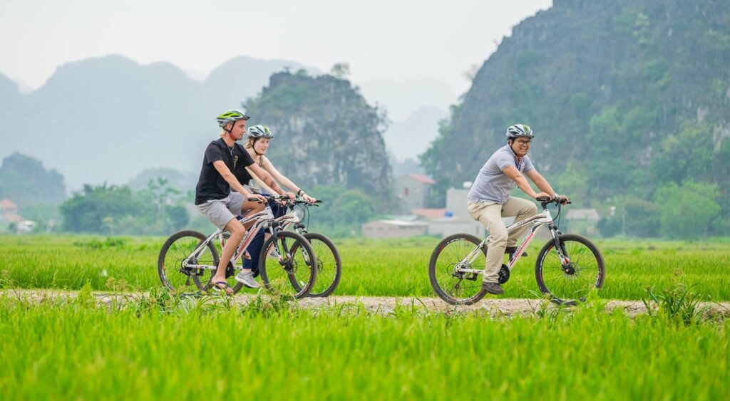 Cycling through scenic rice fields with limestone mountains in the background