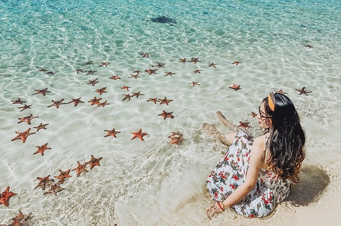 Sao Beach's famous red starfish population during dry season