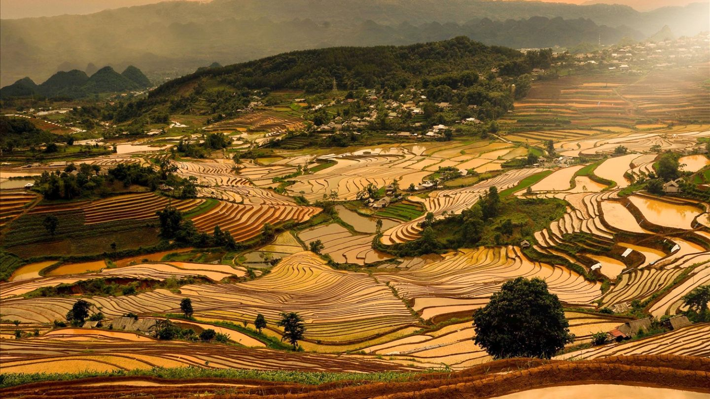Sapa's iconic terraced rice fields carved into the mountains by Hmong farmers