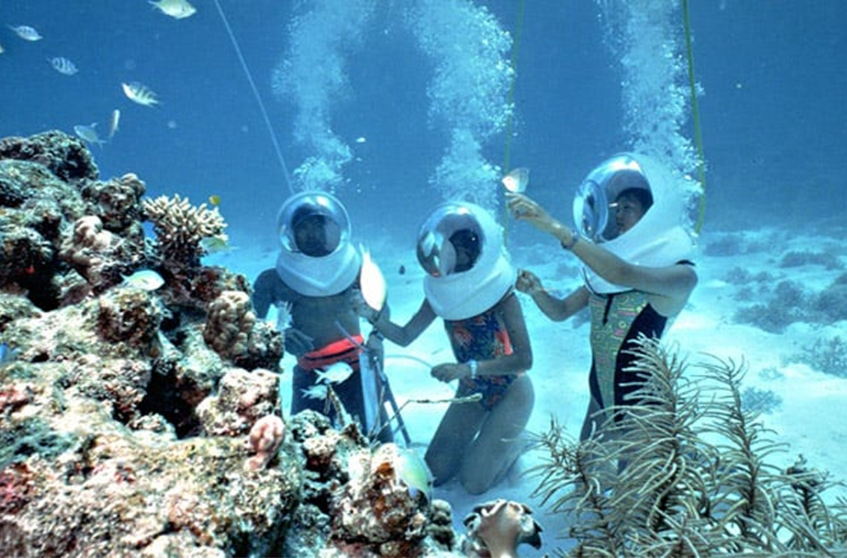 Tour Prices and Options