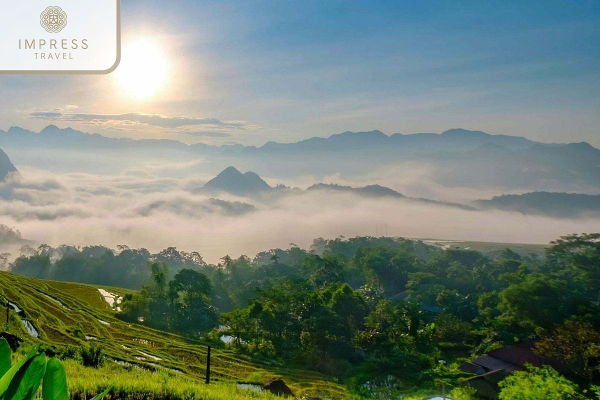 Y Ty's rice fields emerge from morning mist, creating magical cloud hunting opportunities